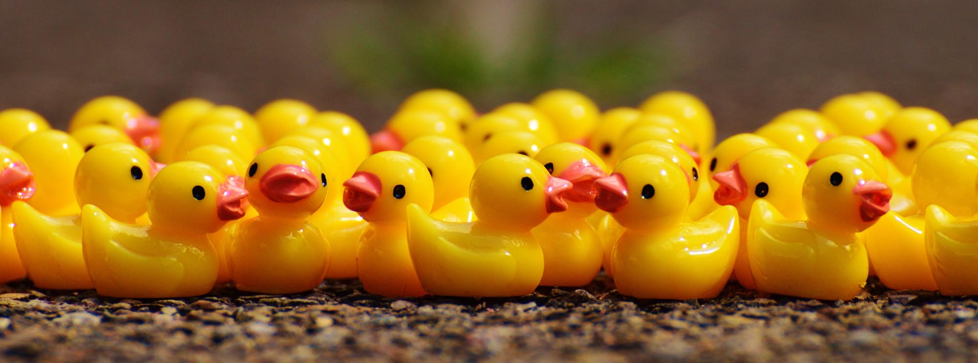 Plastic ducks in a row